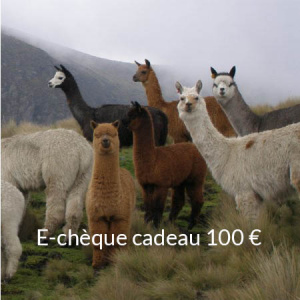 e-chque_cadeau_100_