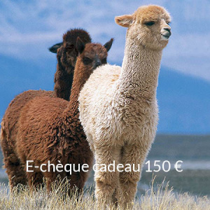 e-chque_cadeau_150_