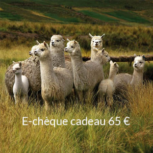 e-chque_cadeau_65_