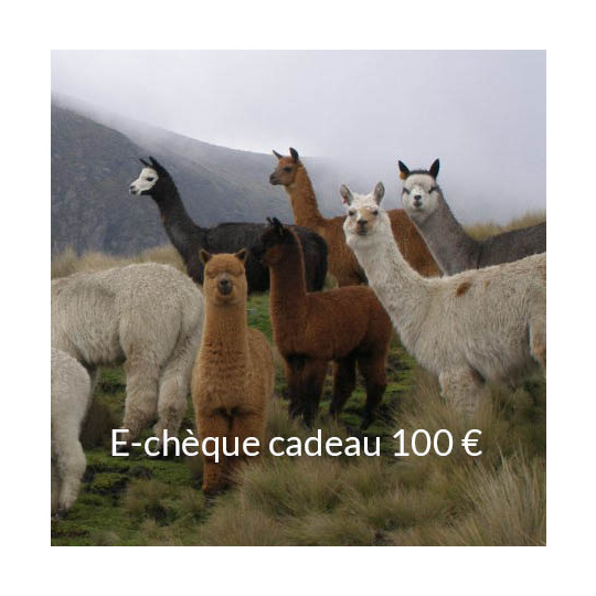 e-chque_cadeau_100_